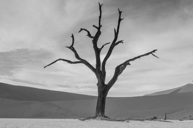 10 photos qui vous donneront envie de visiter la Namibie maintenant