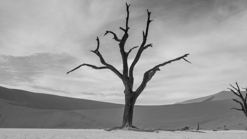 10 photos qui vous donneront envie de visiter la Namibie maintenant
