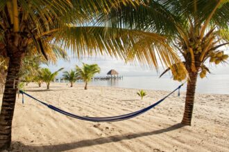 5 choses que les voyageurs malins devraient faire ce novembre