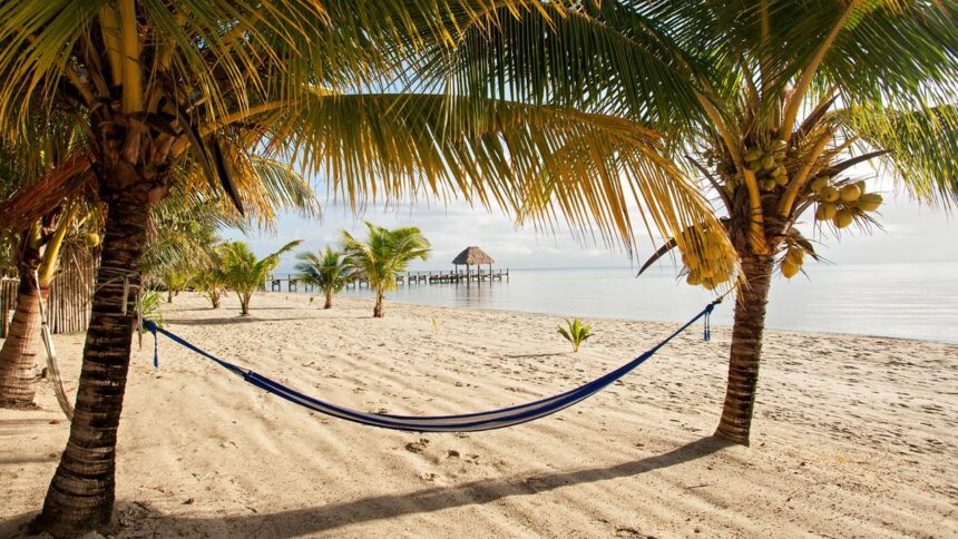 5 choses que les voyageurs malins devraient faire ce novembre