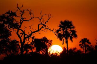 Comment la capitale du Botswana s’est retrouvée en Afrique du Sud