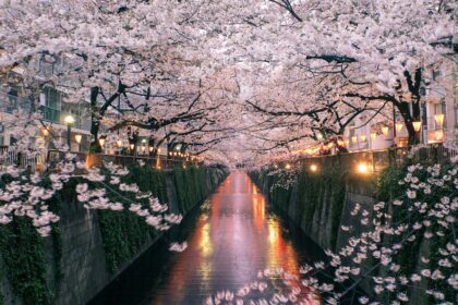 Le Meilleur Quartier de Tokyo pour Voir les Cerisiers en Fleurs au Japon