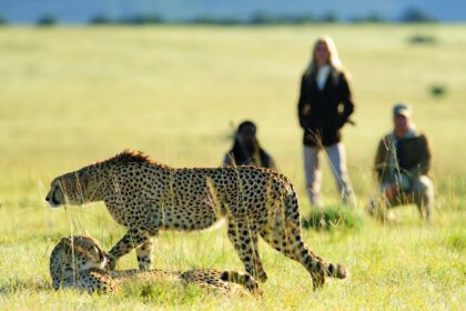 Promenade du côté sauvage : à quoi ressemble un safari à pied
