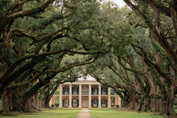 De La Nouvelle-Orléans à Houston : Un Road Trip Gourmand et Culturel en 5 Jours