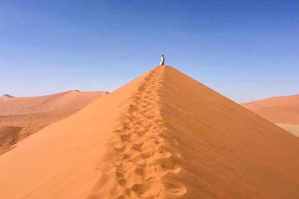 Exploration inoubliable dans le désert de Namibie : entre dunes géantes et émerveillement